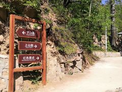 -大岭沟猕猴桃谷风景区
