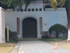 -江心屿景区