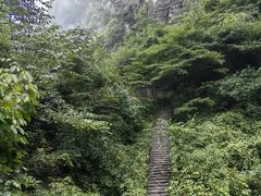 -蝶舞清江·恩施云顶景区(黄鹤峰林)