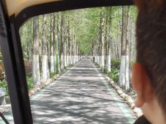 -合肥滨湖国家森林公园