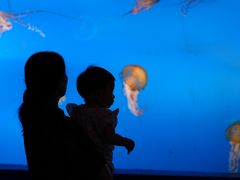 -太平洋海底世界