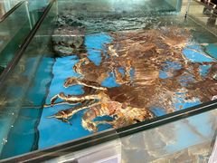 -旺顺阁海鲜广场(亚运村店)