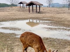 -良渚古城遗址公园