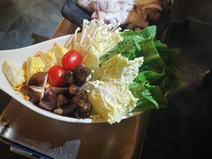 -探窝·竹笙椰子鸡(杨箕店)