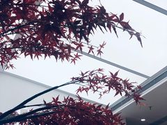 -艾薯夫妇Aysh(福田星河COCOPark店)