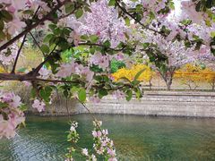 -元大都城垣遗址公园