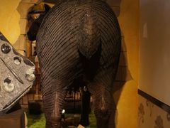 -信不信由你博物馆