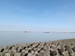 -上海滨江森林公园