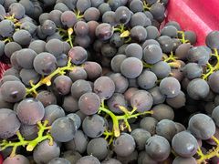 -西郊国际农产品交易中心