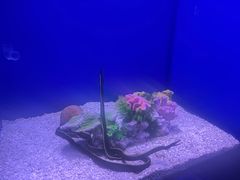 -石家庄极地海洋世界
