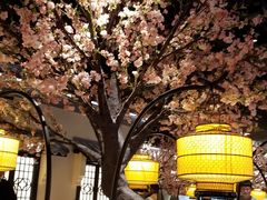 -绿茶餐厅(昌平悦荟店)