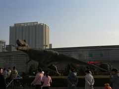 -陕西自然博物馆