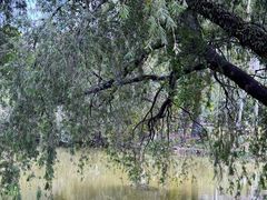 -人民公园(罗湖区)