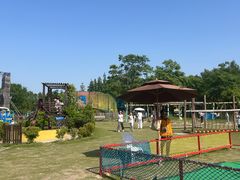 -上海长兴岛郊野公园