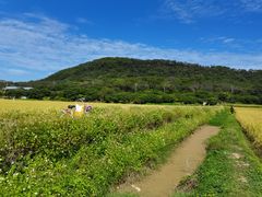 -风云岭森林公园