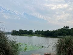 -东湖落雁景区