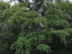 -苏州文庙(姑苏区)