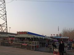 -中环花鸟鱼虫市场