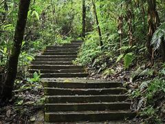 -海南热带雨林国家公园吊罗山景区