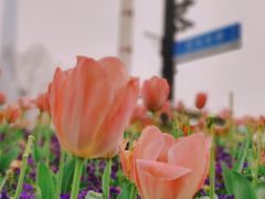 -外滩