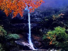 -青峰峡国家森林公园