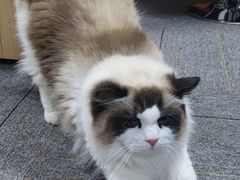 -零纪元VR体验馆·桌游(黄浦店)