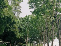 -面包与我Bread Or Me(长城汇店)