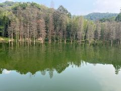 -广州市白云山风景名胜区