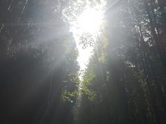 -山王坪喀斯特国家生态公园