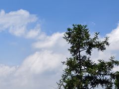 -广州市帽峰山景区