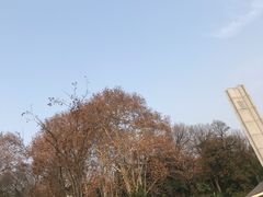 -菊花台公园