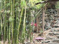 -香竹农庄•传统竹筒饭(十年店)