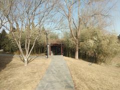 -北坞公园