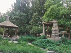 -元大都城垣遗址公园