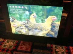 -云海肴·汽锅鸡·云南菜(美罗城店)