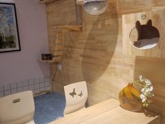 -喵屿·大理花园猫咖