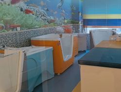-蓓爱娇琪月子会所(虹口店)