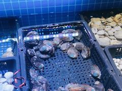 -花西亭·海鲜自助餐厅(瑞城名人酒店)