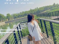 -郑东新区龙湖公共艺术中心