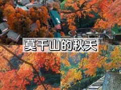 -莫干山风景区