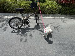 -迪卡侬(观山店)