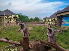 -齐齐哈尔龙沙动植物园