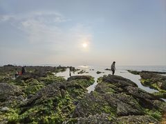 -养马岛旅游度假区