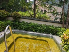 -广州从化都喜泰丽度假温泉酒店