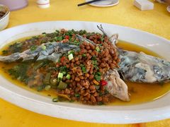 江团-胖大姐黄辣丁鱼庄(新津店)