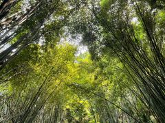 -凤栖山