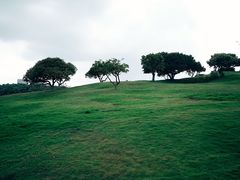-红花山公园