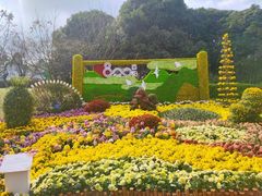 -南山植物园