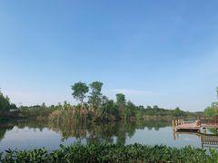 -白鹭湾湿地公园