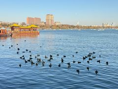 -刘小忙把子肉(北园大街总店)